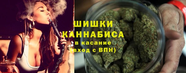 крисы Белокуриха