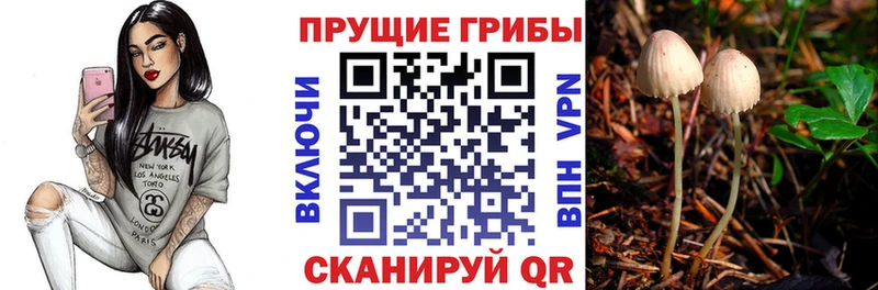 Галлюциногенные грибы GOLDEN TEACHER  купить наркотик  Короча 
